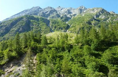 Le Champsaur : les couleurs éclatantes