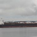 M/V BALTIC MERCHANT