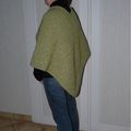 Poncho 596