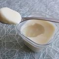yaourts diététiques maison riches en fibres au sirop d'agave en poudre (sans sucre)