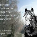 voeux de trait pour trait pour l'an 2008