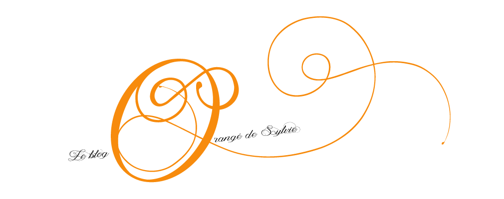 Le blog orangé de Sylvie