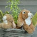 REGARD SUR PAQUES...