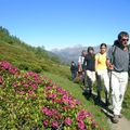 w-e ou vacances en mai et juin,printemps,fleurs,randos,vtt,via ferrata,chambres d'hôtes dans les alpes dans le col d'Izoard.