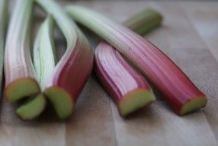 Rhubarbe...
