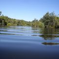 Lac de Léon, le courant du Huchet