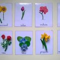 Cartes de nomenclature "Fleurs" et Cycle du haricot avec figurines SafariLTD