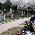 Hanami inédit