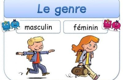 Français : féminin des noms et des adjectifs