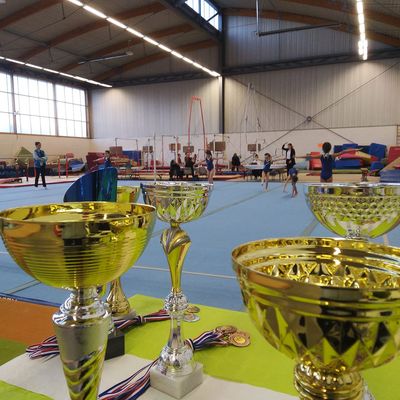 Saison 2019-2020 Compétitions lancées !!