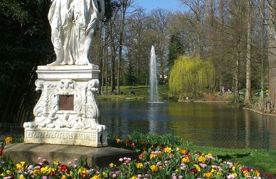 Souvenir d'une flânerie dans le jardin des plantes du Mans