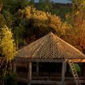 NOUVEAU à Ourthane : un dôme végétal !!!
