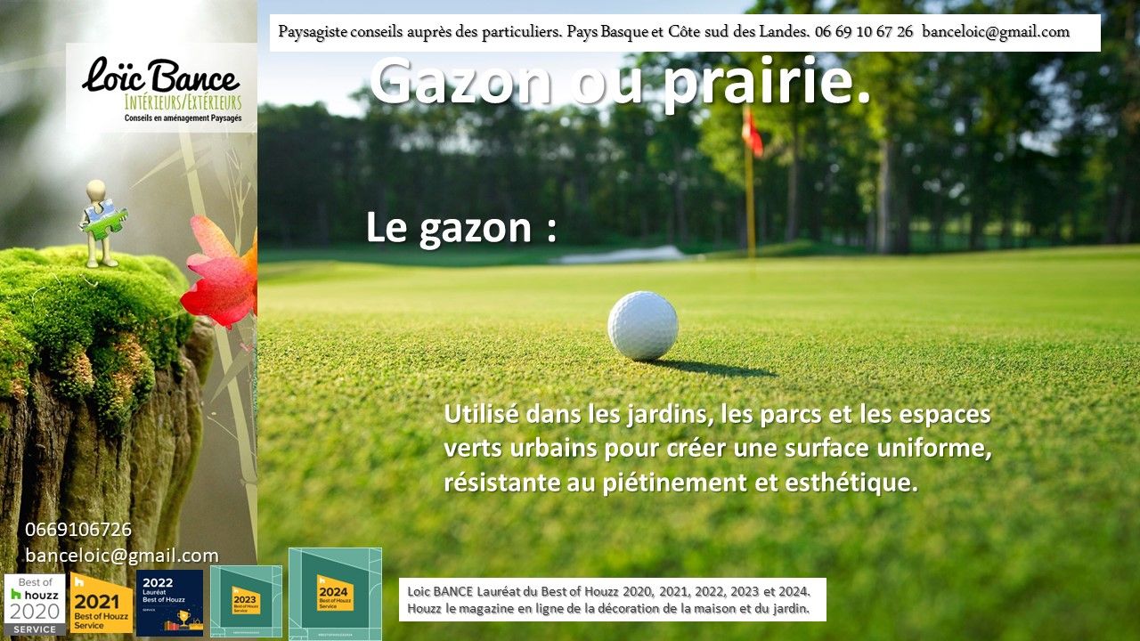 Le gazon, utilisé dans les parcs et jardins pour créer des surfaces uniformes. Par Paysagiste Pays Basque et Paysagiste Landes.