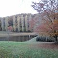 11 NOVEMBRE 2016 LES ETANGS DE BOLOGNE