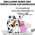 Francois Hollande... les sondages