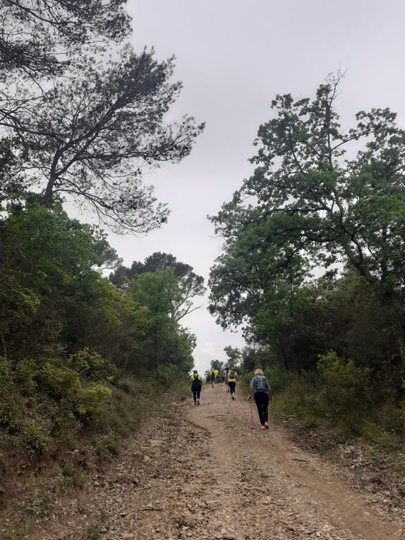 13km dans les collines de Flassans pour 13 sportifs 