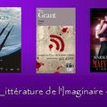 Challenge Littérature de l'imaginaire 3ème édition : 2ème bilan