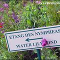 Promenade dans les jardins de Monet à Giverny