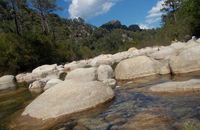 BAIGNADES EN RIVIERE