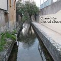 [Valence] le long du canal du Grand Charran