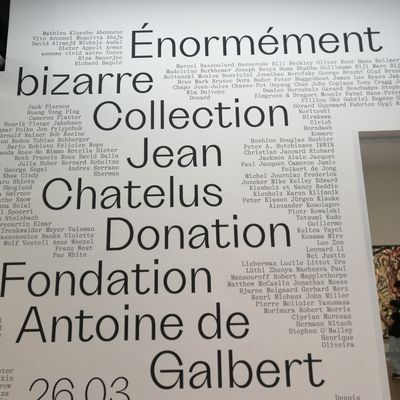 En revenant de l'Expo # Enormément Bizarre# Vu d'ici vu d'ailleurs 