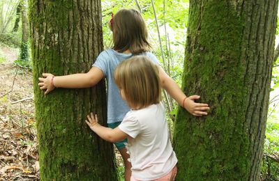 Ballade dans les bois