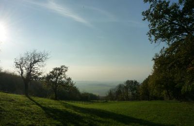 TRES BON MERCREDI à TOUTES et à TOUS !