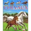 Valentine et l'équitation