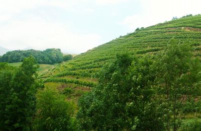 Pélerinage basque