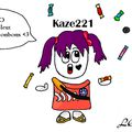 Kaze221