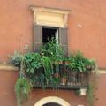 Rome - Le Trastevere I