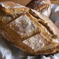 Les amoureux du pain au levain... venez tester avec moi!