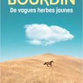 DE VAGUES HERBES JAUNES - FRANCOISE BOURDIN : SORTIE CE JOUR EN LIBRAIRIE !