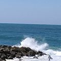 Vagues à Capbreton 