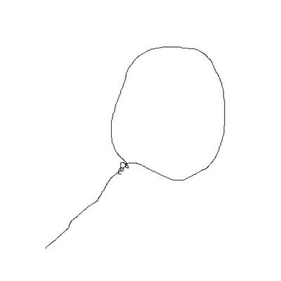 Tuto pour lampe végétale