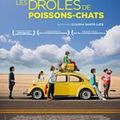 Les drôles de poissons-chats