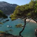 Sortie dans la calanque de Sormiou !