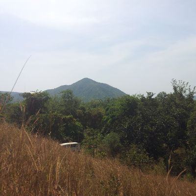 Quelques photos de brousse