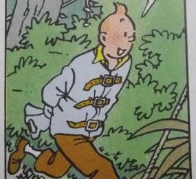 Tintin s'échappe de l'asile psychiatrique