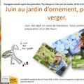 Les travaux de juin au jardin d'ornement potager et fruitier par Paysagiste Pays Basque Paysagiste Landes