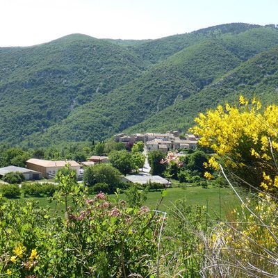 VTT : le Mourre Nègre depuis Auribeau