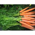 La soupe de fanes de carottes