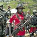 NORD-KIVU : 3 TERRORISTES ADF ET DEUX CIVILS TUES A NGITE DANS  LE TERRITOIRE DE BENI