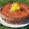 gâteau mousseux choco amandes pour fêter l'arrivé du  printemps!!!