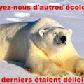 Les ours se suivent...