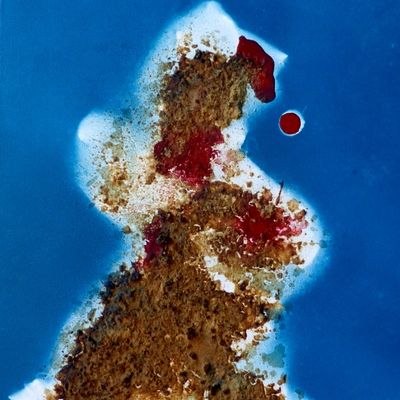 La méditation du danseur