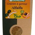 L'alfalfa ou luzerne (graines germées)