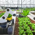 CONFLIT DES AGRICULTEURS EN FRANCE, ILS RENTRENT CHEZ EUX?, EST-CE DEJA FINI POUR EUX ?