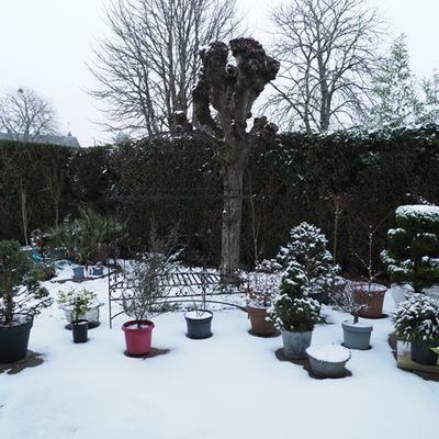 L'An 2026 🎋💖🍀