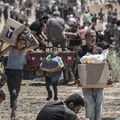 !!Génocide à Gaza: J 605!!  L’affirmation d’'Israël' selon laquelle «le Hamas vole l’aide» est une imposture (de plus!)